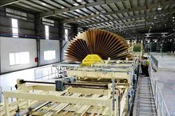 Ngành gỗ xuất siêu 12,6 tỷ USD trong năm 2021