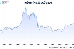 Giá nông sản ổn định ở mức cao hơn nhiều so với các năm trước