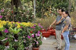 Hội hoa xuân TP Hồ Chí Minh sẽ được tổ chức từ ngày 27/1 đến 6/2/2022