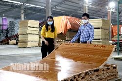 Sản xuất chiếu nan - nghề mới tạo việc làm cho lao động nông thôn