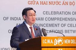 Chủ tịch Quốc hội Vương Đình Huệ dự và phát biểu tại Lễ kỷ niệm 5 năm quan hệ Đối tác chiến lược toàn diện Việt Nam - Ấn Độ