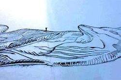 Tranh cáo khổng lồ trên mặt hồ đóng băng