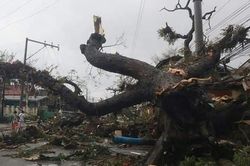 Ít nhất 75 người thiệt mạng vì siêu bão Rai càn quét Philippines