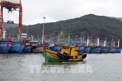 Nhiều vùng biển gió mạnh cấp 8-10, giật cấp 14, biển động dữ dội