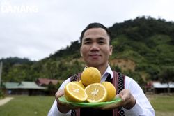 Quả ngọt kết hoa chốn biên thùy