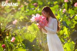 Tự chữa lành những rối loạn lo âu, căng thẳng