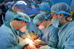 TP Hồ Chí Minh: Ghép gan thành công cho bé gái 7 tuổi bị xơ gan giai đoạn cuối