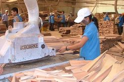 Xuất khẩu đạt kỷ lục gần 15 tỷ USD, gỗ Việt vẫn lo ngay ngáy bị hàng Trung Quốc 'đội lốt'
