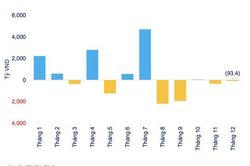 13 quỹ ETF ghi nhận dòng tiền vào ròng 4.700 tỷ đồng năm 2021, tập trung chủ yếu ở quỹ nội