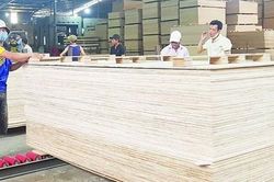 Mạnh tay chống gian lận xuất xứ mặt hàng gỗ