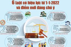 Điểm mới của 6 luật hiệu lực từ 1-1-2022