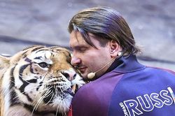 Giới nhà giàu ở Nga thuê hổ về nhà đón năm mới
