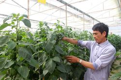 Đức Trọng: Triển khai thực hiện Chiến lược quốc gia về cách mạng công nghiệp lần thứ tư