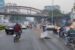 Kịp thời xử lý vết dầu loang hơn 100m trên đường Nguyễn Văn Cừ