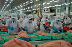Xuất khẩu thủy sản năm 2021 dự báo cán đích trên 8,8 tỷ USD
