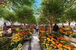 Đường hoa Nguyễn Huệ Tết Nhâm Dần 2022 có còn lộng lẫy?