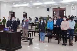 Cựu Hiệu trưởng Đại học Đông Đô lĩnh án 12 năm tù