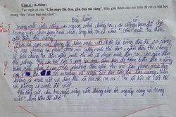 Đề bài yêu cầu giải nghĩa câu tục ngữ, đọc bài làm của học sinh mà giáo viên cũng phải lắc đầu bất lực