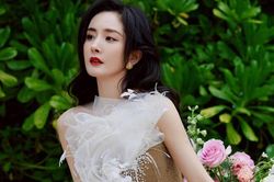 Dương Mịch không bận tâm đến chuyện tình yêu sau đổ vỡ hôn nhân
