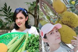 Khám phá biệt thự vườn vô số cây ăn trái của Việt Trinh