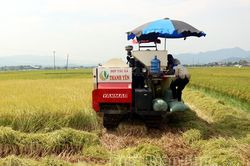 Phát triển sản phẩm nông nghiệp chủ lực