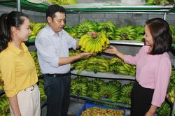 Khó khăn trong xây dựng sản phẩm OCOP