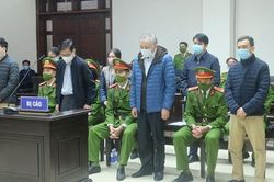 Cựu lãnh đạo Sở KH&ĐT Hà Nội tố bị 'ép' trong vụ Nhật Cường trúng thầu