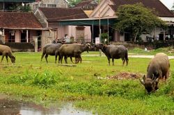 Chủ động bố trí nguồn lực tại chỗ để phòng chống rét đậm, rét hạiTin khácNgành dân số Lạng Sơn: 60 năm xây dựng và phát triểnĐội Việt Nam tuyên truyền giải phóng quân - lực lượng tiền thân của Quân đội Nhân dân Việt Nam