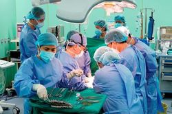 Ca ghép gan thành công cho bé gái 2 tuổi