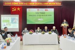 Luật Bảo vệ Môi trường 2020 sắp có hiệu lực, doanh nghiệp là nhân tố chính chịu ảnh hưởng