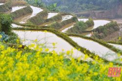 Pù Luông mùa nước đổ lấp lánh những ô màu