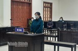 13 năm tù cho hành vi 'lạm dụng tín nhiệm chiếm đoạt tài sản'