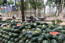 Lạng Sơn: Hỗ trợ tiêu thụ nông sản ùn ứ qua nền tảng số