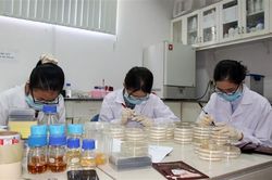 TP.HCM: Thưởng Tết Nguyên đán bình quân hơn 8,8 triệu đồng/người