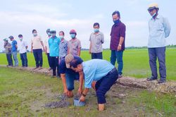 Hội Nông dân tỉnh An Giang tập huấn kỹ thuật canh tác lúa thân thiện với môi trường