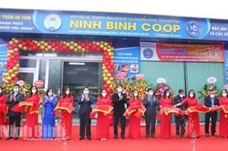 Khai trương và giới thiệu các sản phẩm HTX Thương mại, dịch vụ và chế biến nông sản Ninh Bình