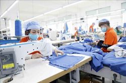 Hiệp định RCEP thực thi từ ngày 1/1/2022: Động lực thúc đẩy thương mại và phục hồi kinh tế