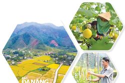Sức bật từ xây dựng nông thôn mới