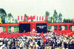 Truyền thống không chia