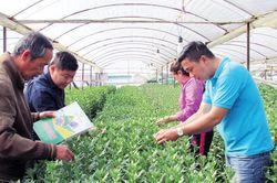 Những bước hành trình