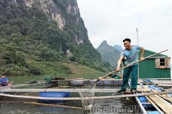 Tư duy mới của nông dân Tủa Chùa