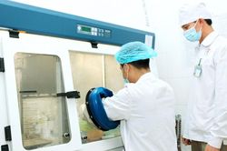 Quy định hoạt động pha chế thuốc để điều trị người bệnh