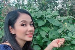 Việt Trinh về nhà vườn rộng 2.500m2 ở Bình Dương dịp Tết dương lịch, cây trái xum xuê, hoa nở 4 mùa ai cũng mê
