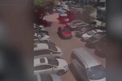Nữ tài xế dùng thước đo chiều ngang ô tô trước khi lùi vào khoảng trống gây 'bão'mạng