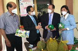 Tọa đàm xúc tiến đầu tư, thương mại và du lịch giữa Bến Tre với đại sứ Việt Nam tại các nước