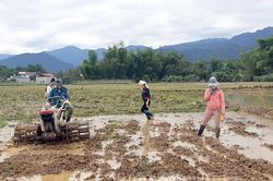 Tập trung sản xuất vụ đông xuân