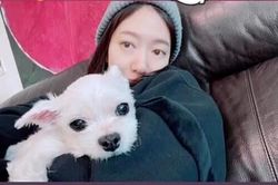 Park Shin Hye được khen ngợi về nhan sắc dù mang bầu vượt mặt