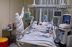 Nhiều nhà khoa học nhận định thế giới cần học cách chung sống với đại dịch Covid-19