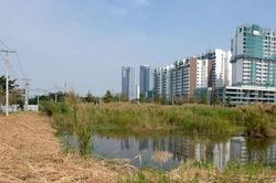 Việc đấu giá đất quá cao ảnh hưởng thế nào đến thị trường BĐS Việt Nam?