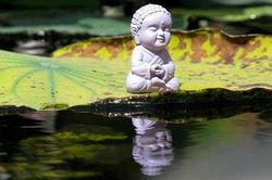 Nhìn vào 5 điểm này có thể biết được cuộc sống của bạn có tốt đẹp hay không